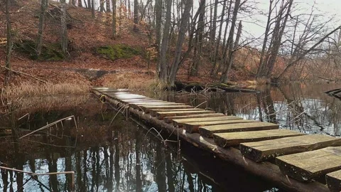 Small footbridge in the forest - 4k Stock Footage 157030140