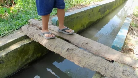 Small footsteps 스톡 동영상 241912624