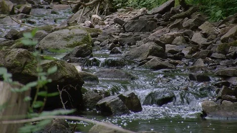 Small forest brook Stock Footage 86356953