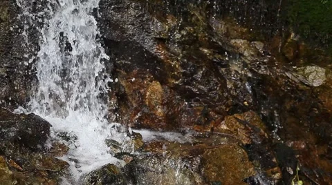 Small forest cascade Stock Footage 917485