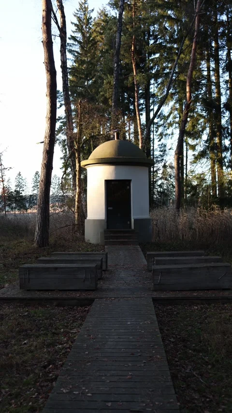 Small forest chapel with soft sunlight creating a calm natural mood Stock Footage 321650463