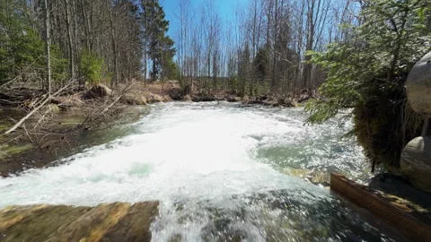 Small Forest Creek Drop Under Wooden Bridge Stock Footage 307119502
