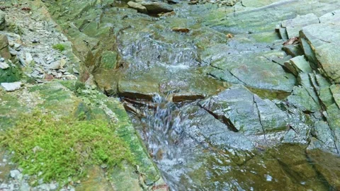 Small Forest Creek Flowing Through Green Woodland Video stock 330950609
