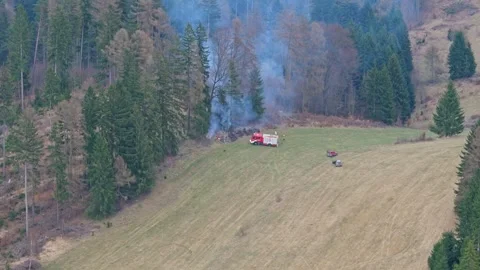 Small forest fire with emergency vehicles and crew working to extinguish fl.. Stock Footage 334033598