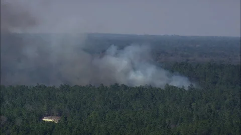Small Forest Fire Stock Footage 65431973