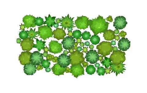 Small forest with height. Park with trees. View from above. Plant landscape Stock Illustration