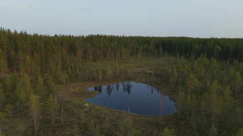 A small forest lake among bogs and coniferous forest. The nature of Scandinavian Video stock 312260217