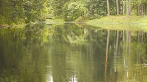 Small forest lake 스톡 동영상 8657250