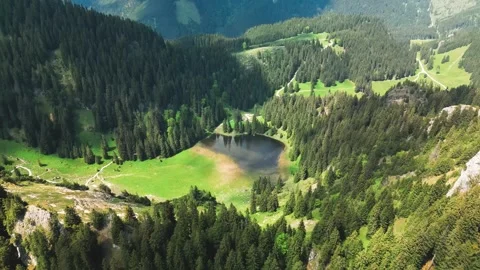 A small forest lake Stock Footage 246712552
