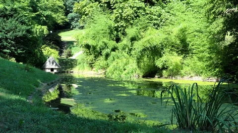 Small forest lake in the mountains of the Black Forest. Germany Stock Footage 104643785