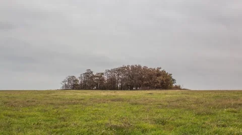Small Forest in the Middle of Nowhere Stock Footage 47504088