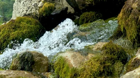 A small forest mountain stream flows through large stones Stock Footage 128142410