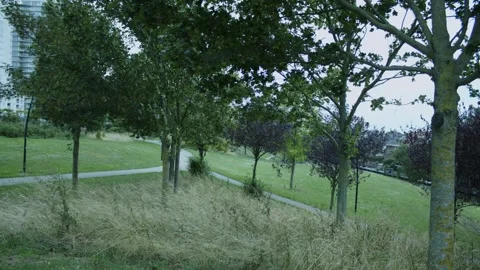 Small Forest Next To Apartment Building Stock Footage 247141788