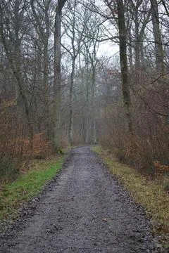 Small forest outside the city of Stuttgart Stock Photos
