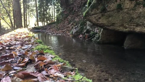 Small Forest River Beneath a Large Rock – Nature Landscape Stock Footage 314697296