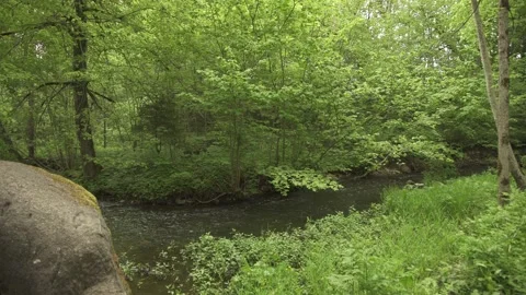 A small forest river with big stone in foreground Stock Footage 159980846