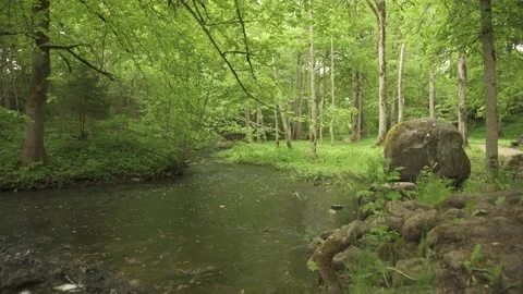 A small forest river with big stone in foreground Stock Footage 159980992