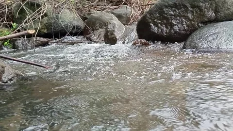 Small Forest River Flowing Over Stones Stock Footage 329898419