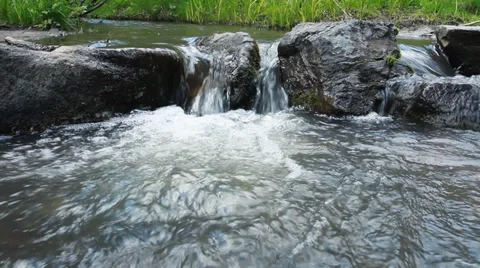 Small Forest River Stock Footage 39466791