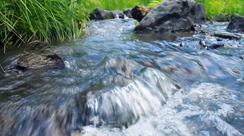 Small Forest River Stock-Footage 40339527