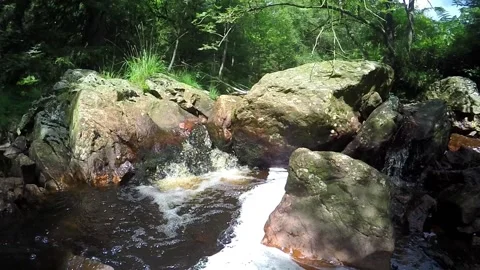 Small forest river. Stock Footage 87342561