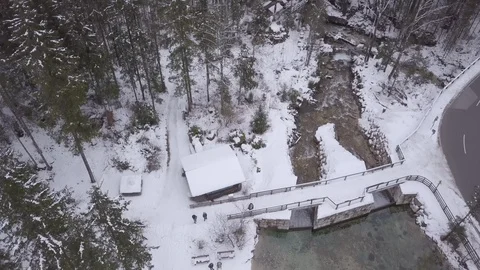 Small Forest River  Vídeo Stock 88707733