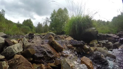 Small forest river Stock Footage 95713516