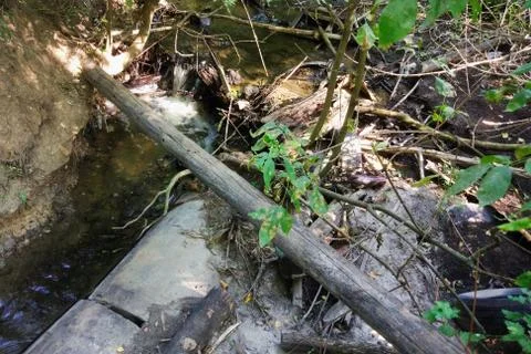 A small forest river is polluted with garbage. Plastic trash, foam, wood and  Stock Photos