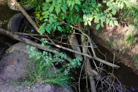 A small forest river is polluted with garbage. Plastic trash, foam, wood and  Stock Photos