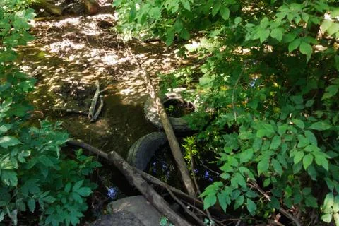 A small forest river is polluted with garbage. Plastic trash, foam, wood and  Stock Photos