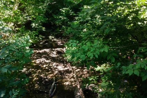 A small forest river is polluted with garbage. Plastic trash, foam, wood and  Foto stock