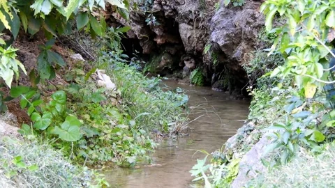 Small Forest River In Rocks Stock Footage 221517149