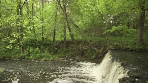 A small forest river with a waterfall in early summer morning Stock Footage 159980944