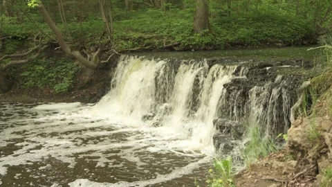 A small forest river with a waterfall in early summer morning Stock Footage 159981029
