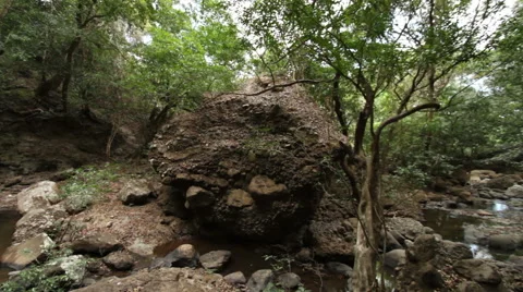Small forest rivulet panorama Stock Footage 52516260