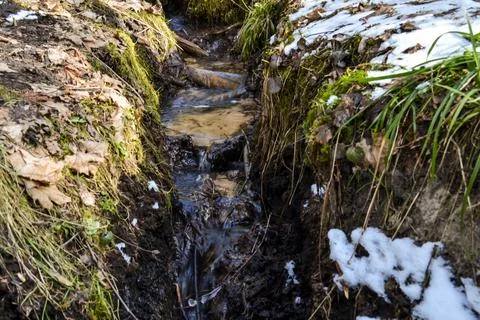 Small forest spring with clear drinking water on a cold spring day. The grass Stock Photos