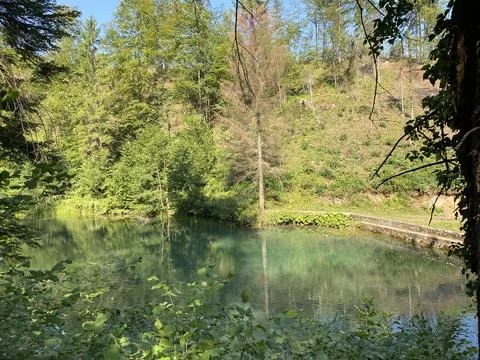 Small forest spring Čogrljevo Lake or Čogrlje's Lake in the hamlet of Tići Stock Photos