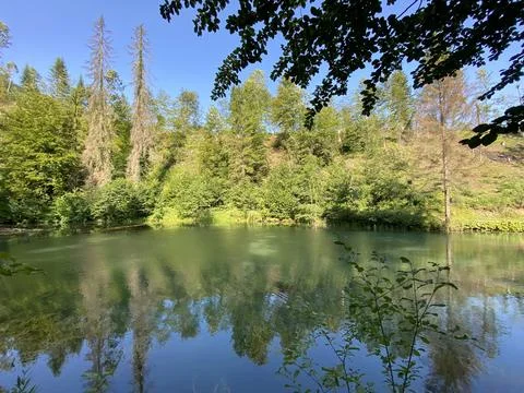 Small forest spring Čogrljevo Lake or Čogrlje's Lake in the hamlet of Tići 스톡 사진