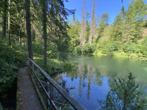 Small forest spring Čogrljevo Lake or Čogrlje's Lake in the hamlet of Tići 스톡 사진