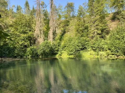Small forest spring Čogrljevo Lake or Čogrlje's Lake in the hamlet of Tići 스톡 사진