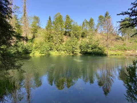 Small forest spring Čogrljevo Lake or Čogrlje's Lake in the hamlet of Tići 스톡 사진