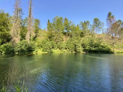 Small forest spring Čogrljevo Lake or Čogrlje's Lake in the hamlet of Tići 스톡 사진