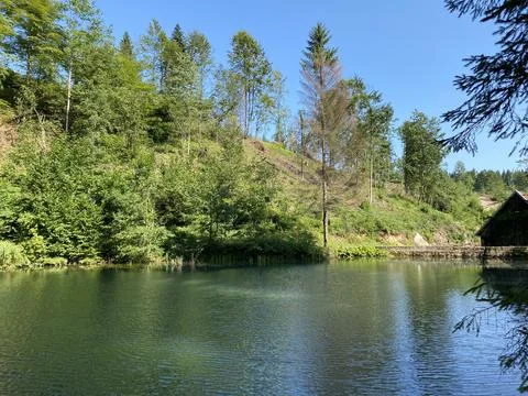 Small forest spring Čogrljevo Lake or Čogrlje's Lake in the hamlet of Tići 스톡 사진