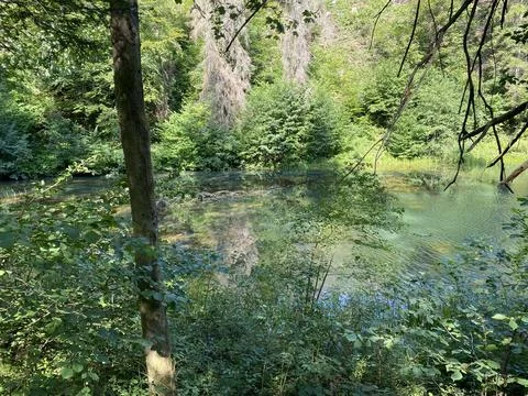 Small forest spring Čogrljevo Lake or Čogrlje's Lake in the hamlet of Tići Foto stock