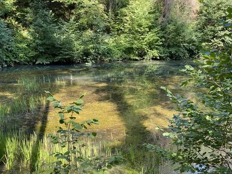 Small forest spring Čogrljevo Lake or Čogrlje's Lake in the hamlet of Tići Stock Photos