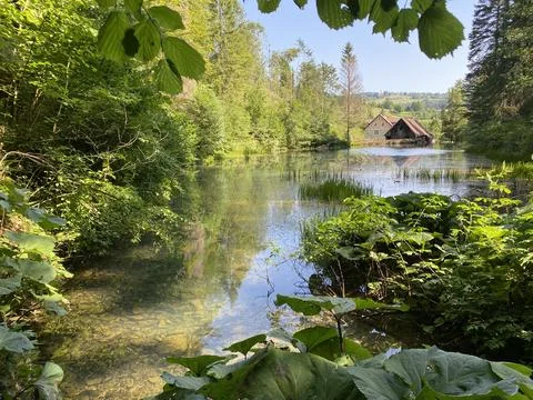 Small forest spring Čogrljevo Lake or Čogrlje's Lake in the hamlet of Tići 스톡 사진