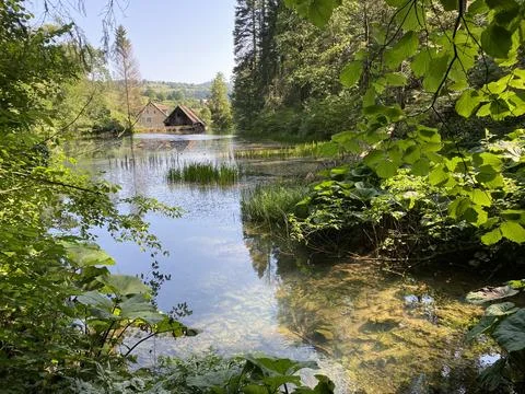 Small forest spring Čogrljevo Lake or Čogrlje's Lake in the hamlet of Tići 스톡 사진