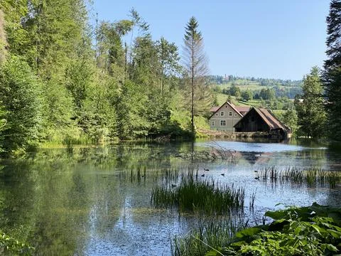 Small forest spring Čogrljevo Lake or Čogrlje's Lake in the hamlet of Tići 스톡 사진