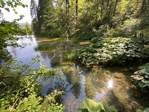 Small forest spring Čogrljevo Lake or Čogrlje's Lake in the hamlet of Tići 스톡 사진