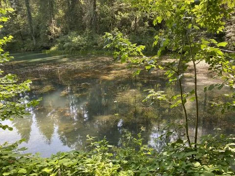 Small forest spring Čogrljevo Lake or Čogrlje's Lake in the hamlet of Tići 스톡 사진